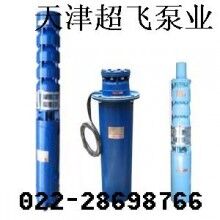 天津潛水電機(jī)，天津潛水泵